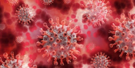 (C) Pixabay Coronavirus